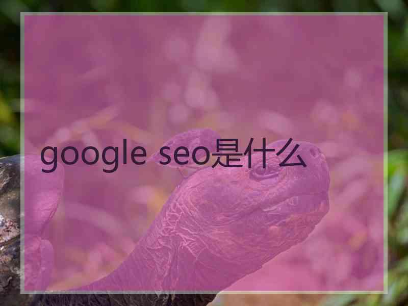 google seo是什么