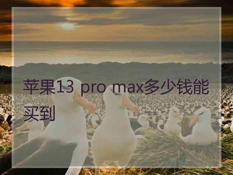 苹果13 pro max多少钱能买到