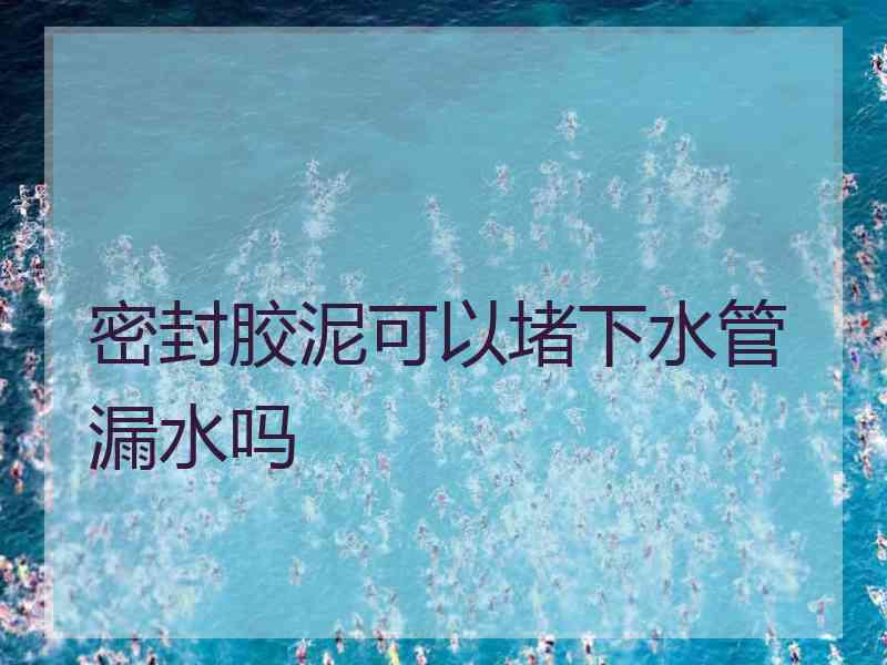 密封胶泥可以堵下水管漏水吗