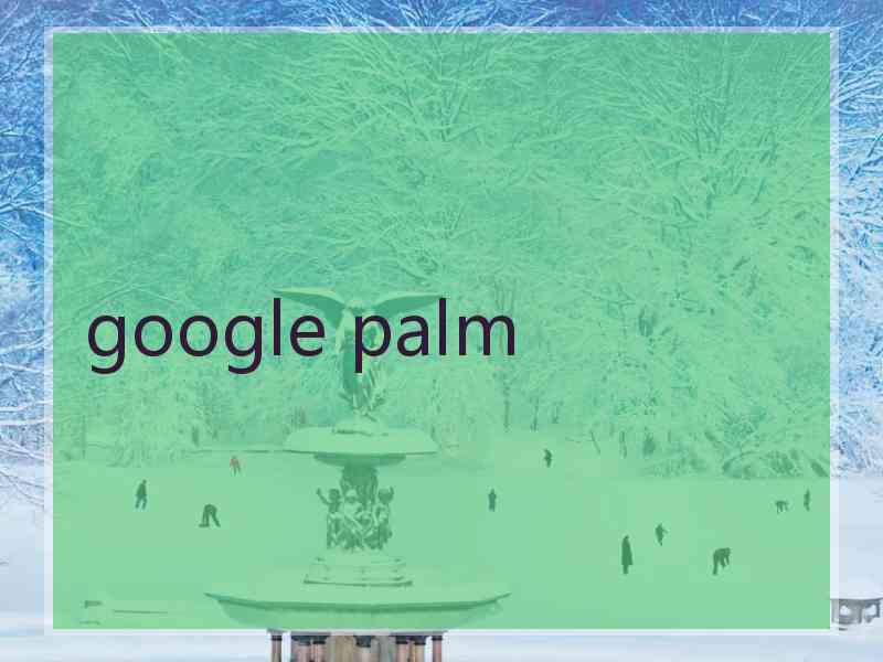 google palm