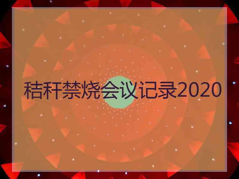 秸秆禁烧会议记录2020