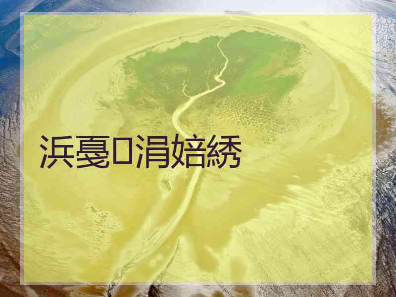 浜戞涓婄綉