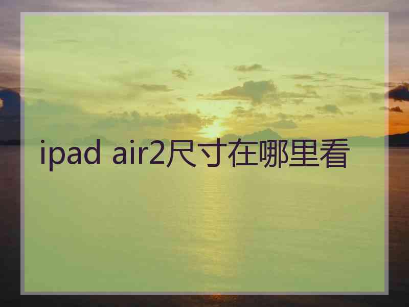 ipad air2尺寸在哪里看