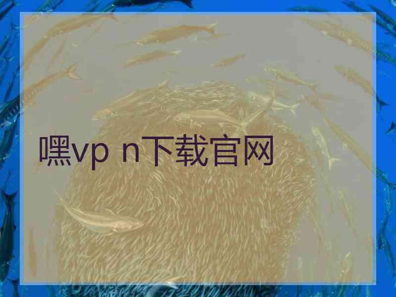 嘿vp n下载官网