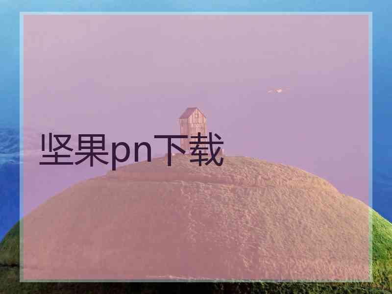 坚果pn下载