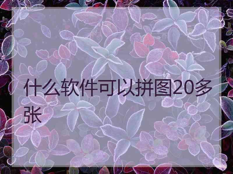 什么软件可以拼图20多张