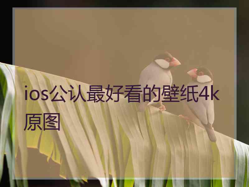 ios公认最好看的壁纸4k原图