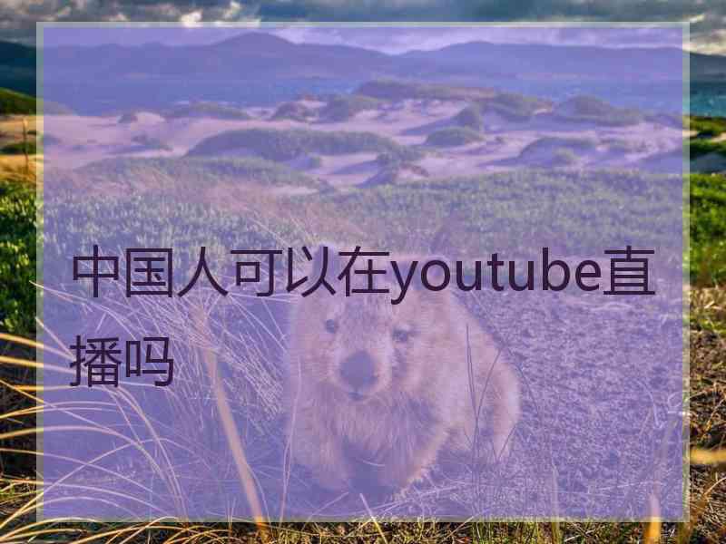 中国人可以在youtube直播吗