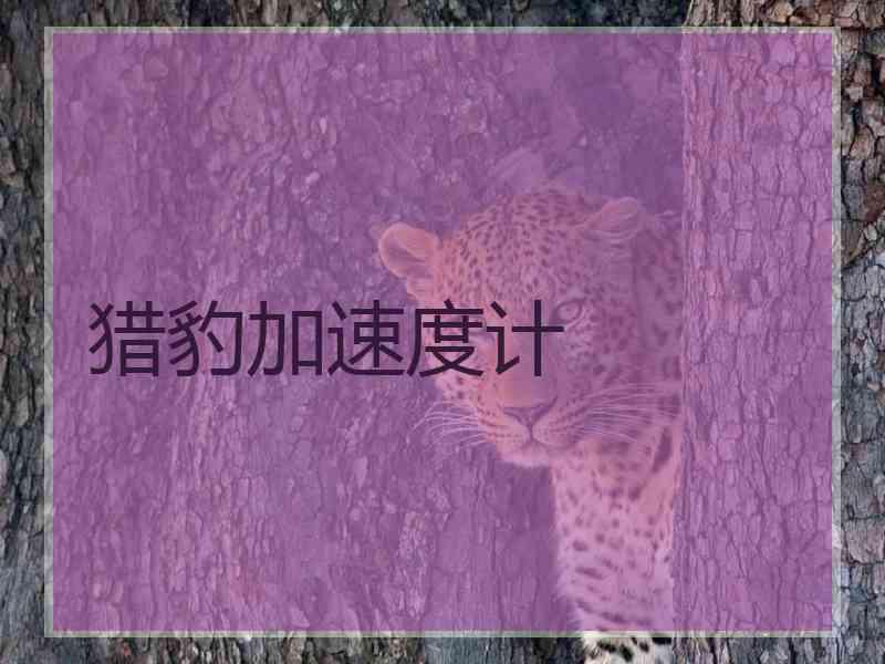 猎豹加速度计