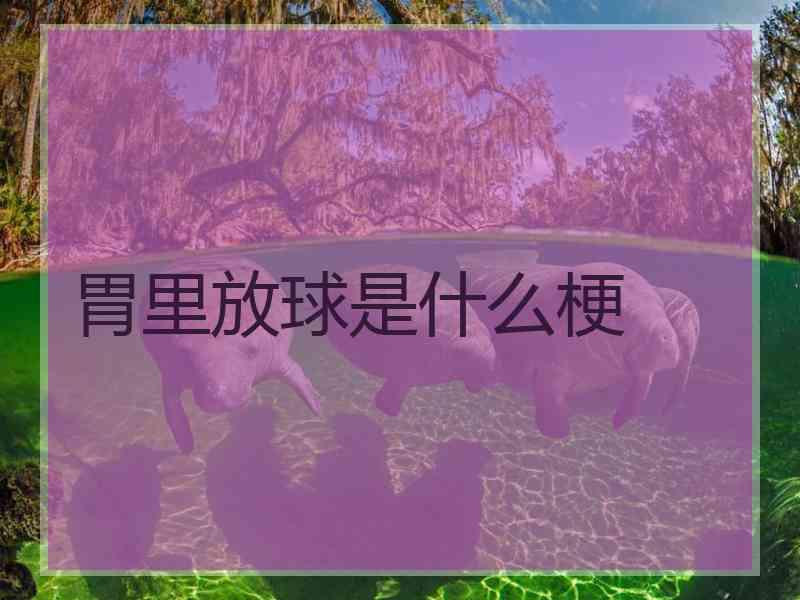 胃里放球是什么梗