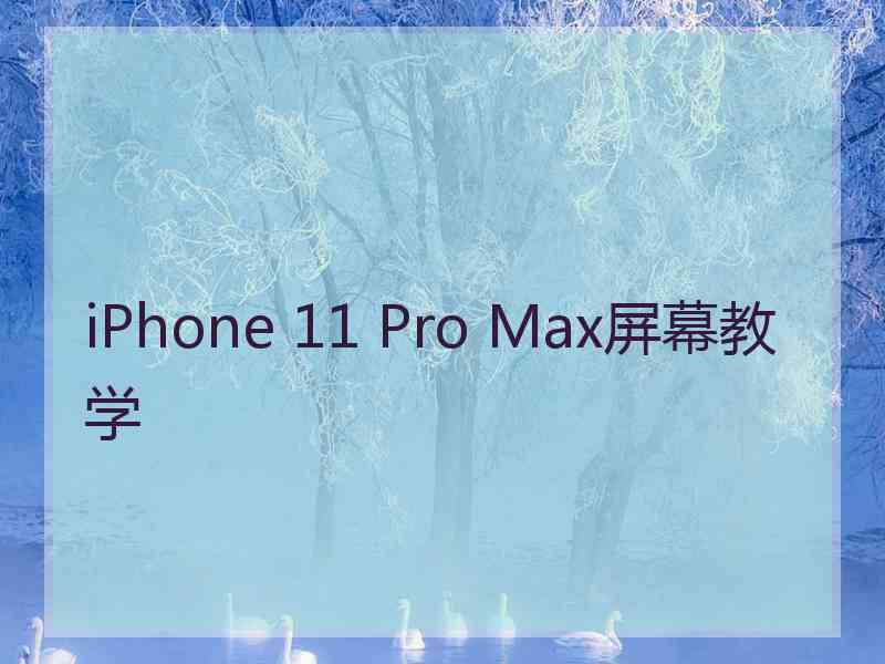 iPhone 11 Pro Max屏幕教学