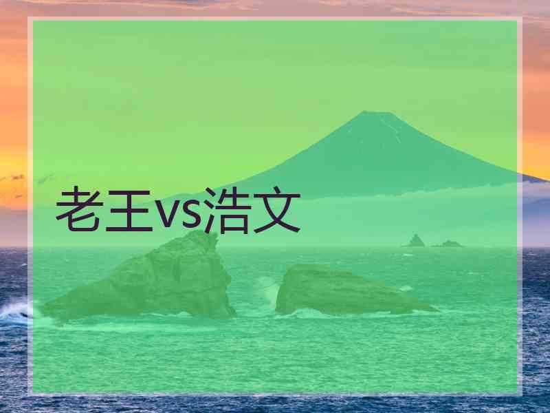 老王vs浩文