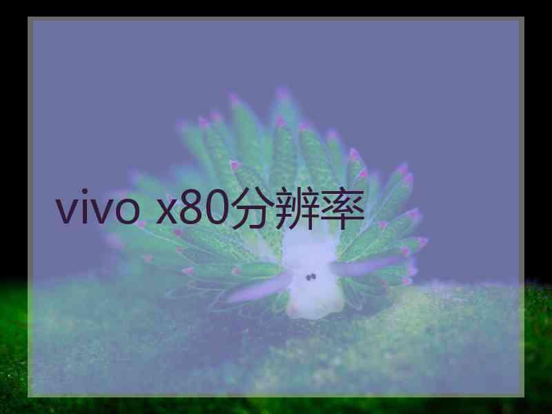 vivo x80分辨率