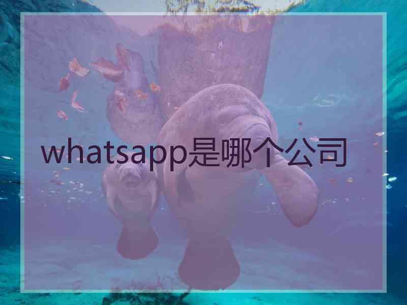 whatsapp是哪个公司