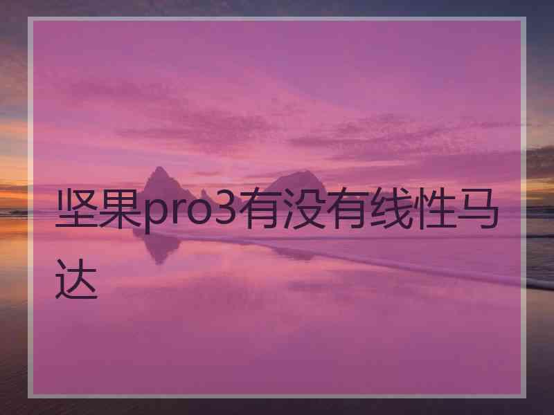 坚果pro3有没有线性马达