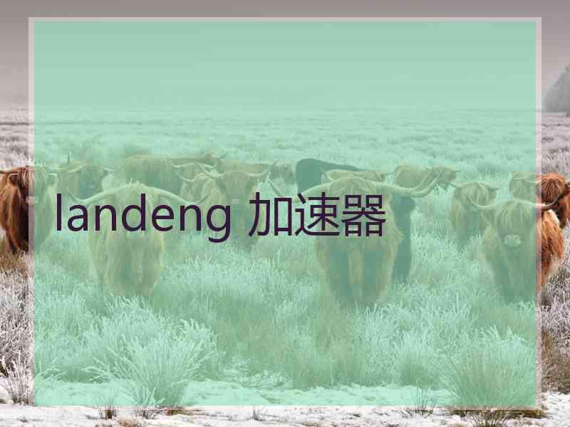 landeng 加速器