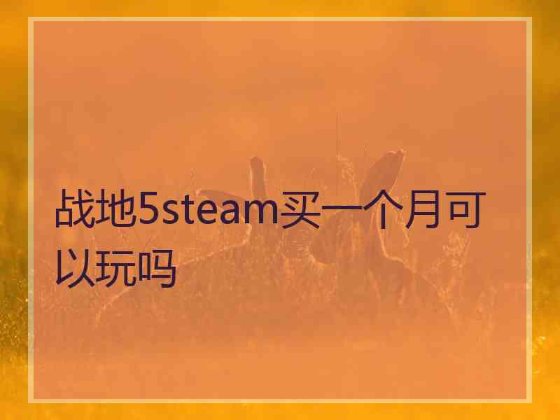 战地5steam买一个月可以玩吗