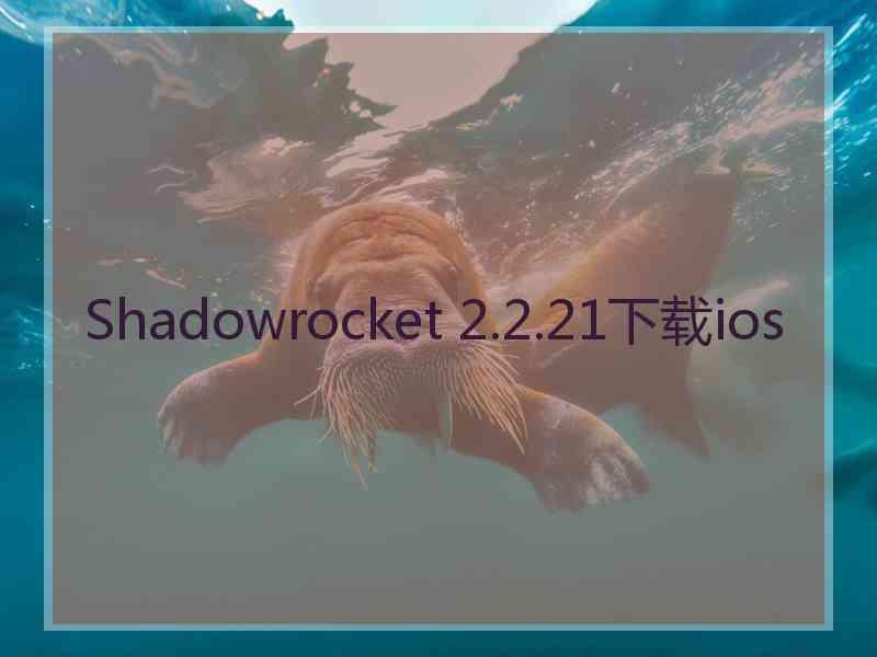 Shadowrocket 2.2.21下载ios