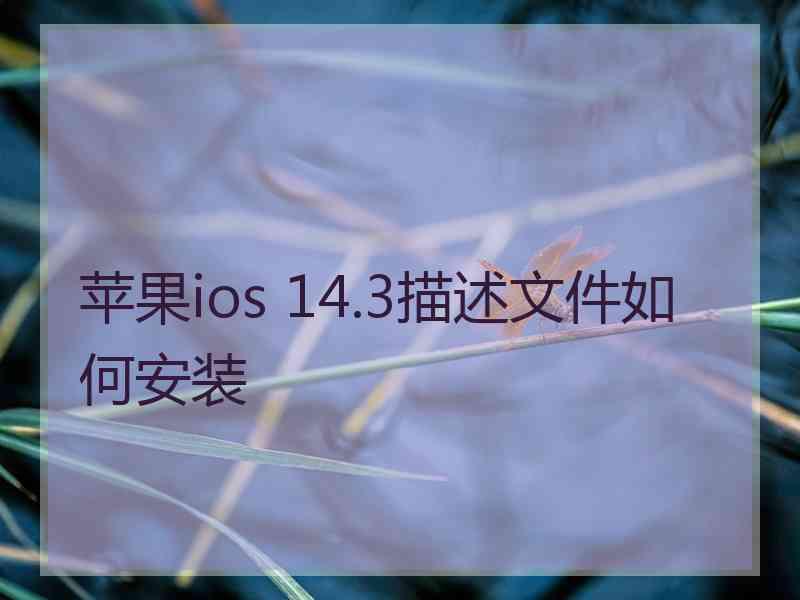 苹果ios 14.3描述文件如何安装