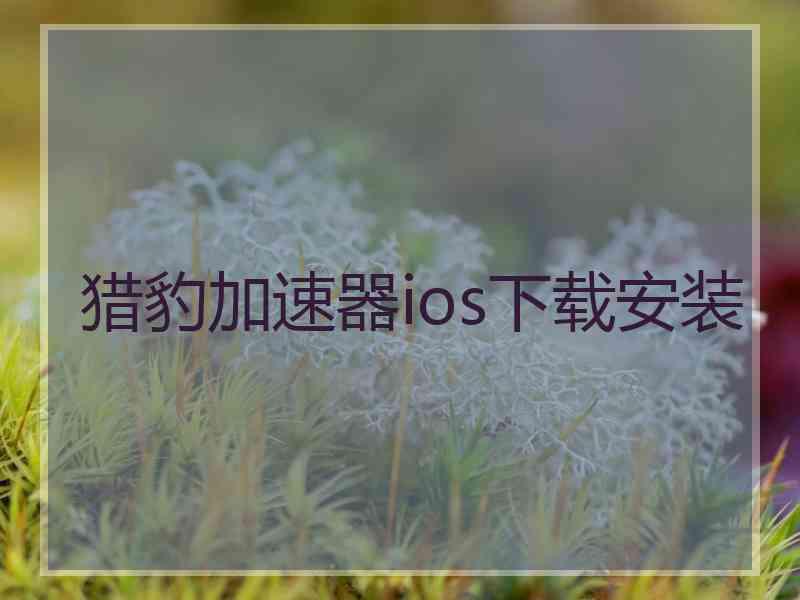 猎豹加速器ios下载安装