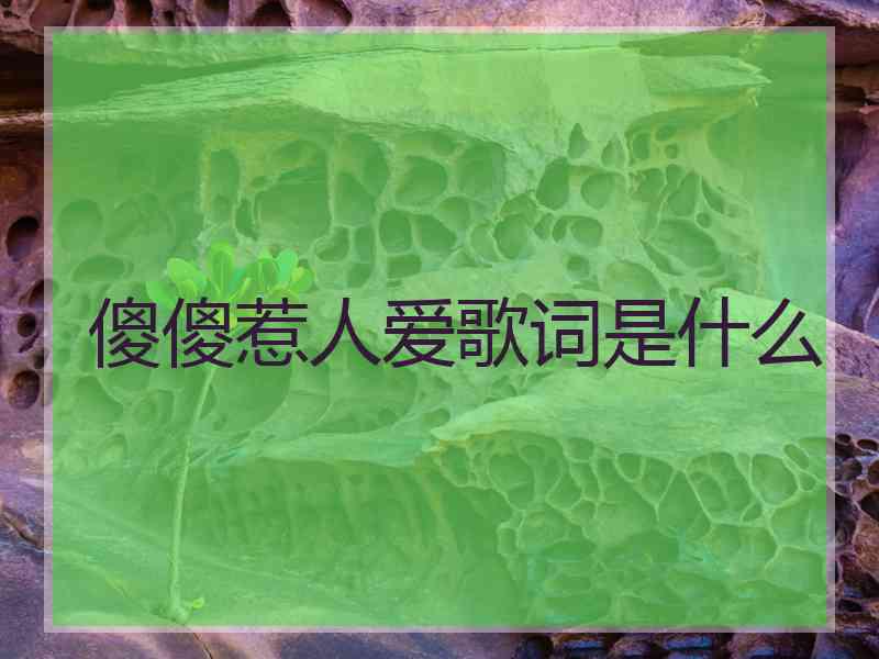 傻傻惹人爱歌词是什么