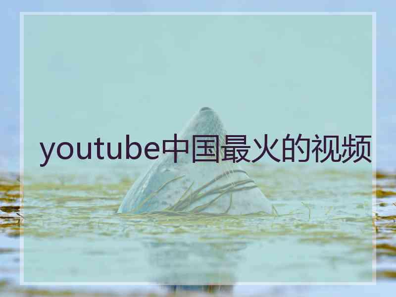 youtube中国最火的视频