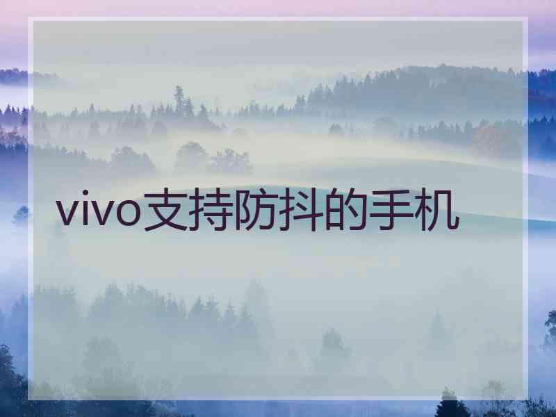 vivo支持防抖的手机