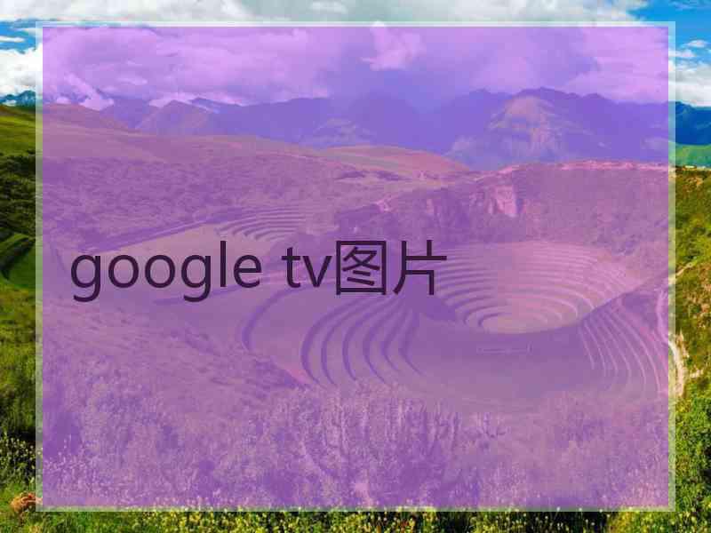 google tv图片