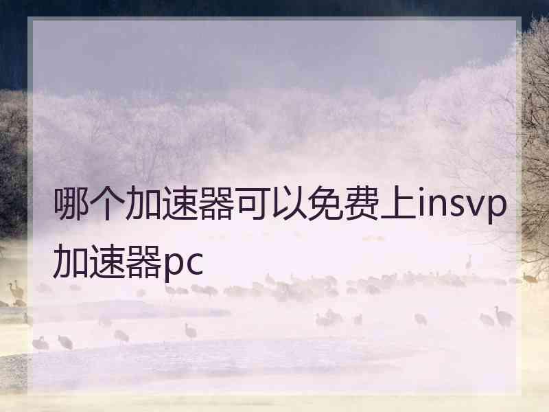 哪个加速器可以免费上insvp加速器pc