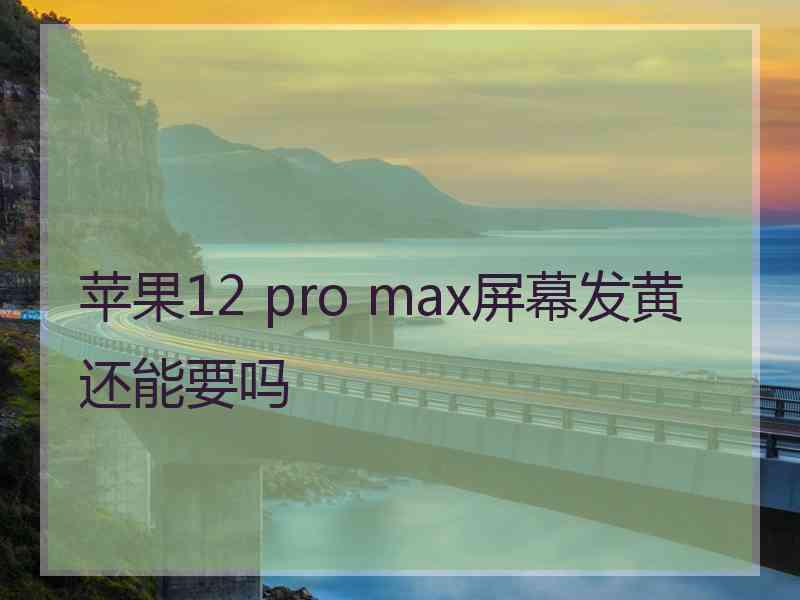 苹果12 pro max屏幕发黄还能要吗