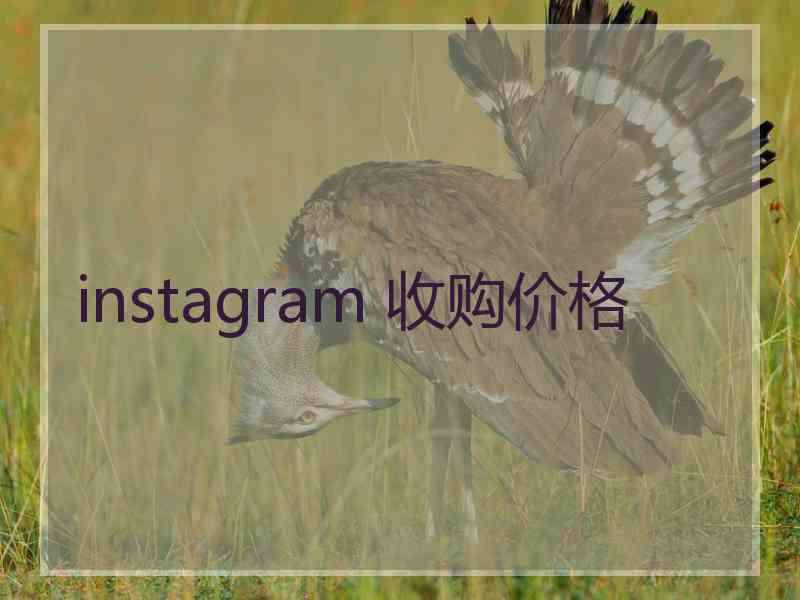 instagram 收购价格