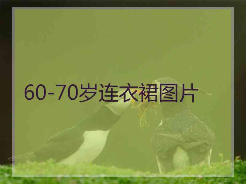 60-70岁连衣裙图片