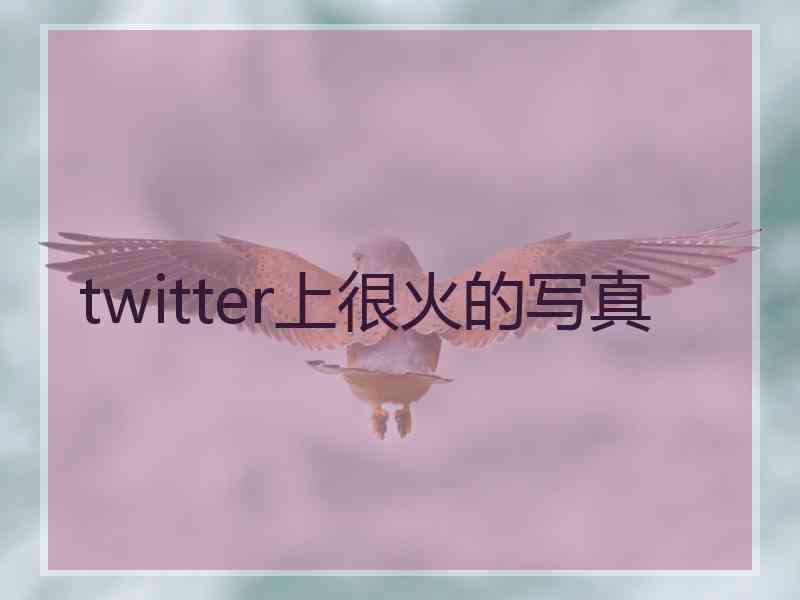 twitter上很火的写真