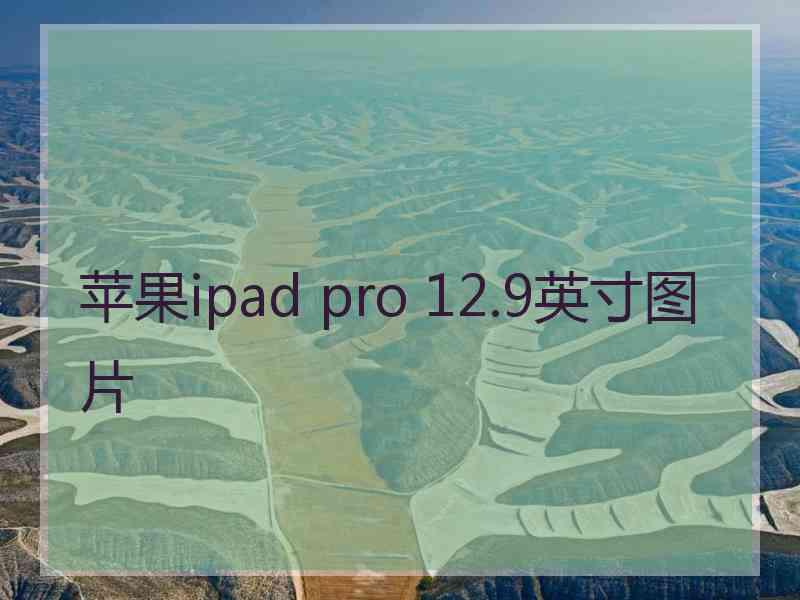 苹果ipad pro 12.9英寸图片