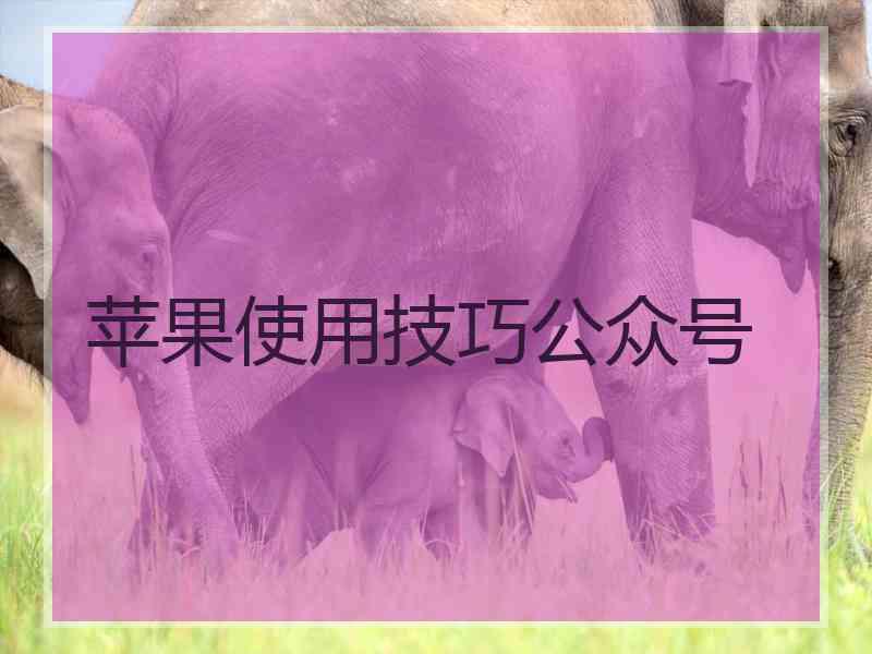 苹果使用技巧公众号