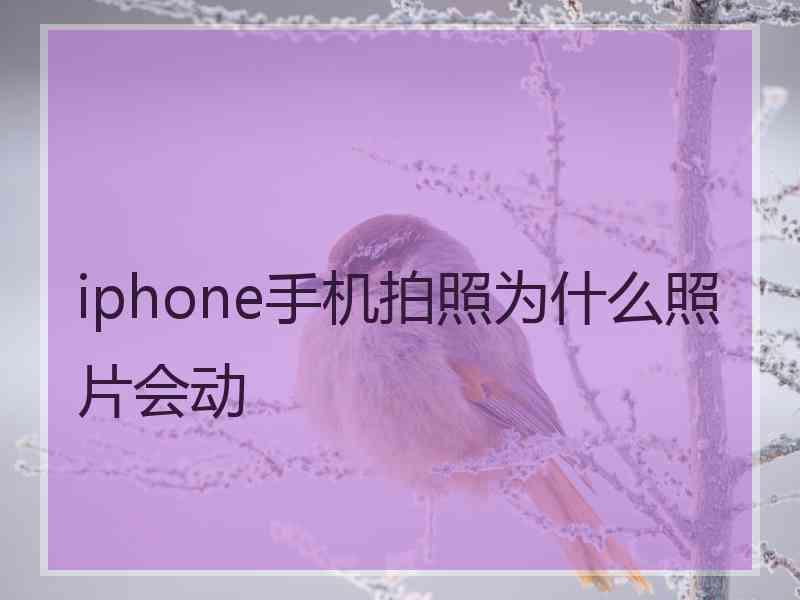 iphone手机拍照为什么照片会动