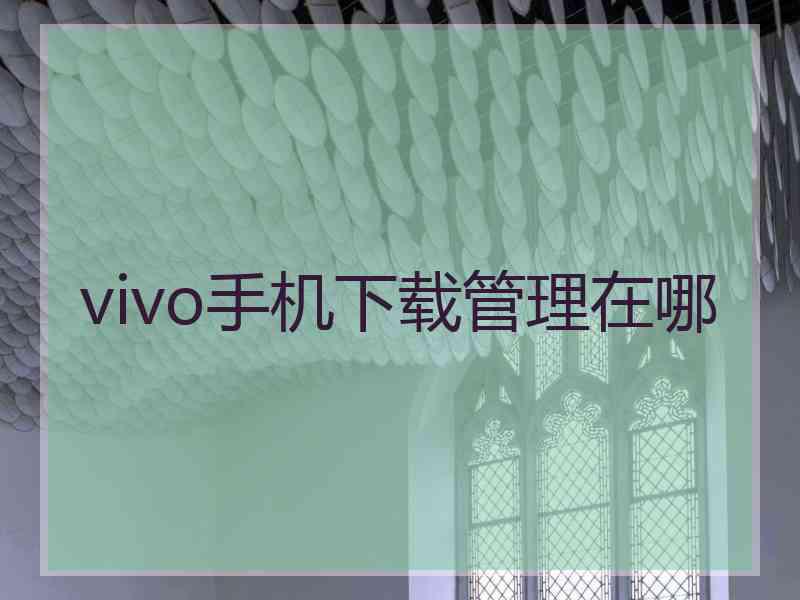 vivo手机下载管理在哪