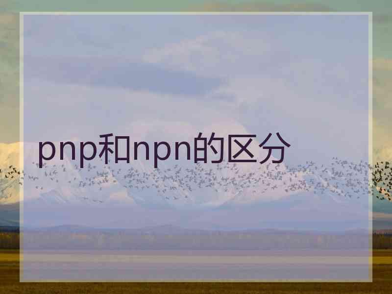 pnp和npn的区分