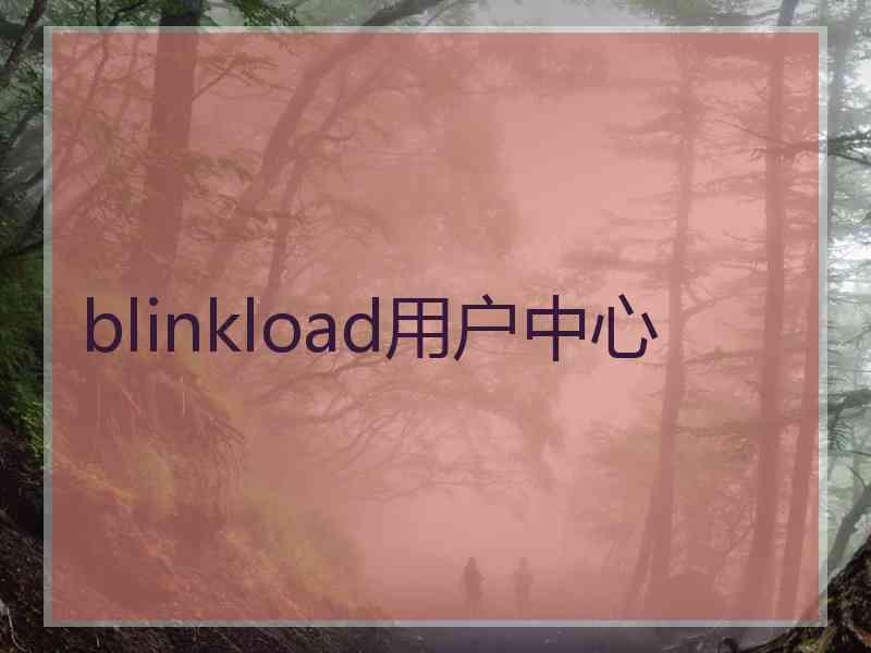 blinkload用户中心