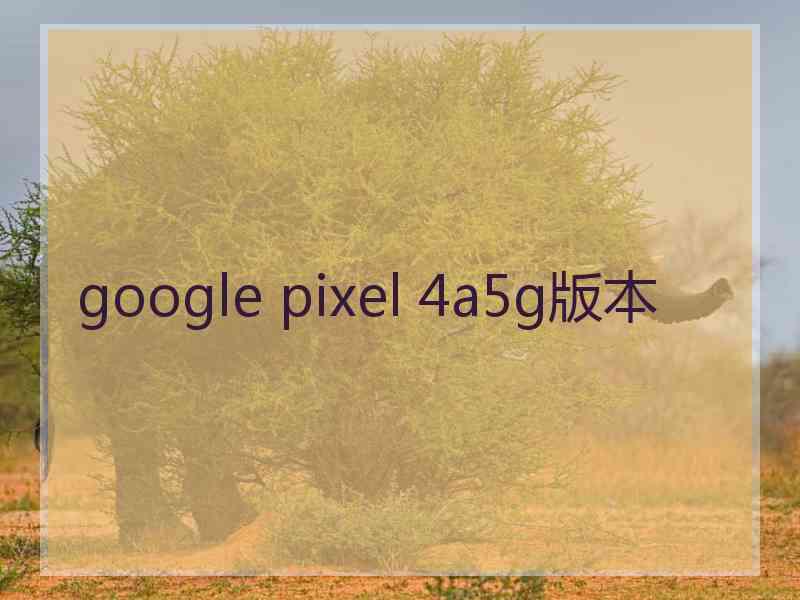 google pixel 4a5g版本