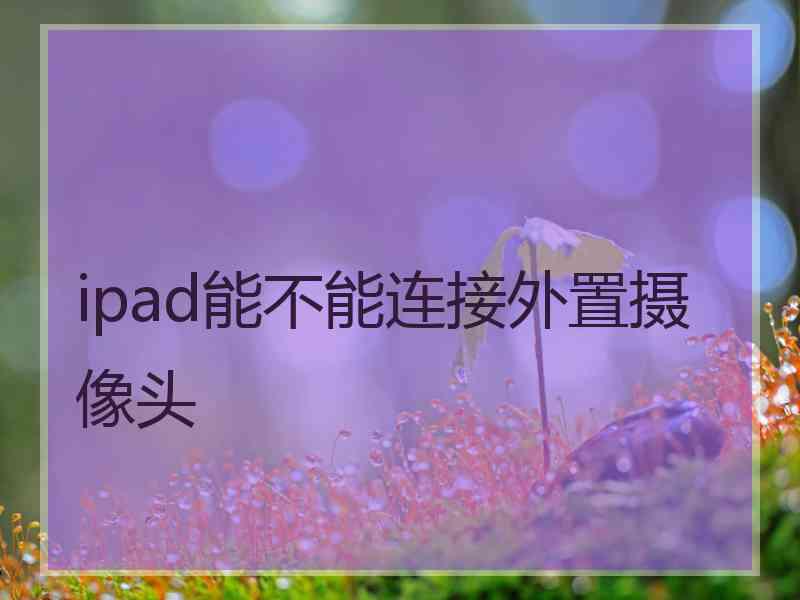 ipad能不能连接外置摄像头