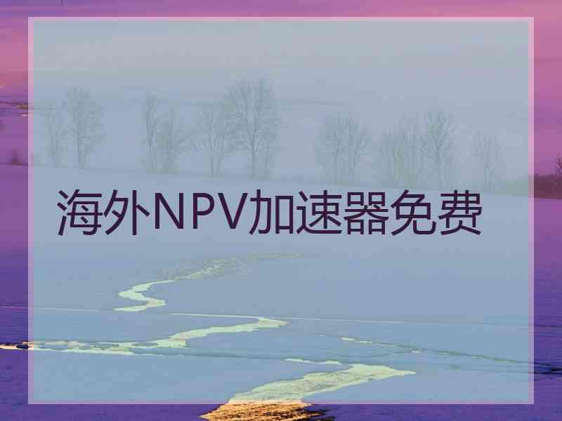 海外NPV加速器免费