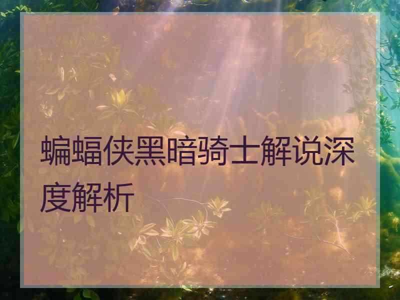 蝙蝠侠黑暗骑士解说深度解析