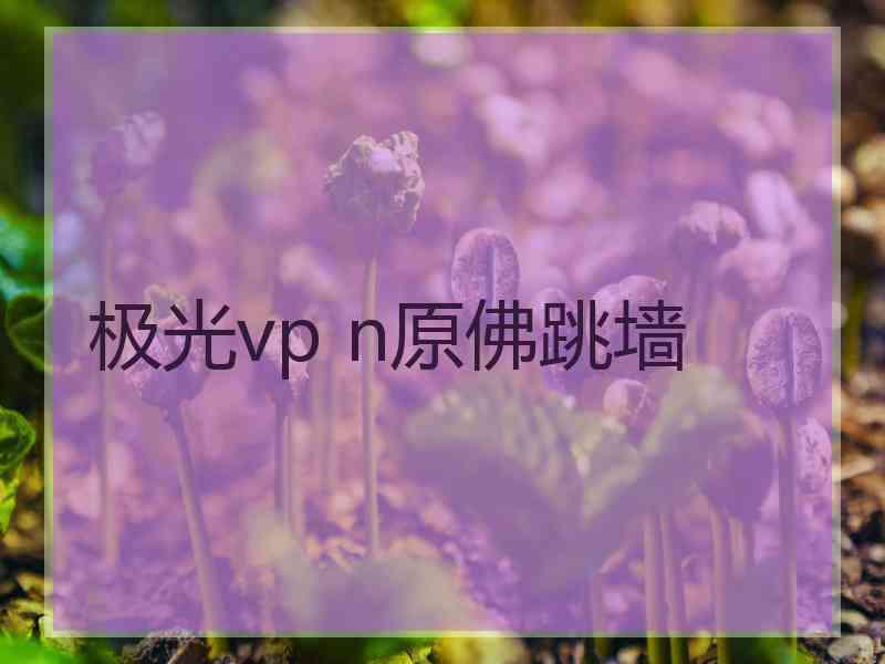 极光vp n原佛跳墙