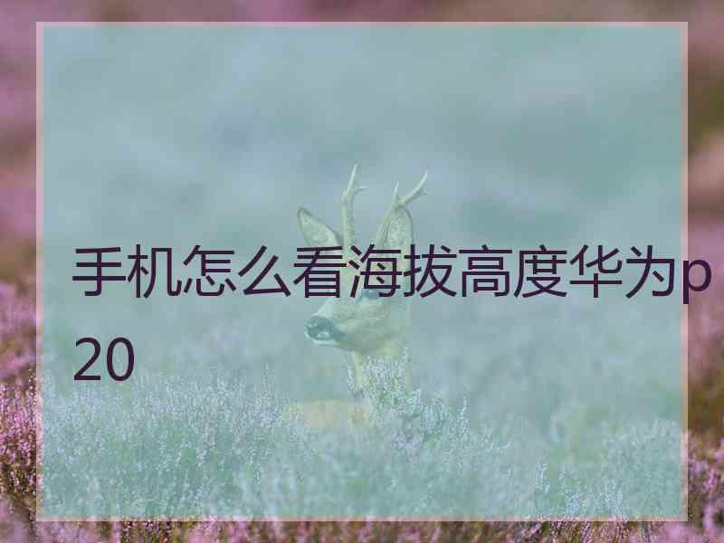 手机怎么看海拔高度华为p20