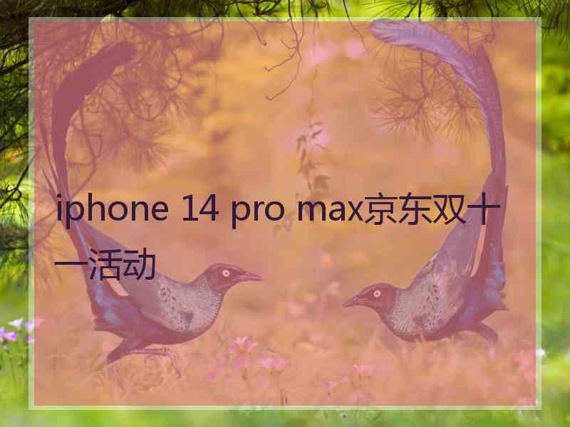 iphone 14 pro max京东双十一活动