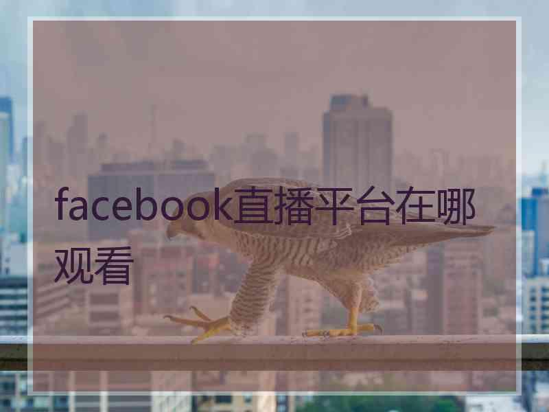 facebook直播平台在哪观看