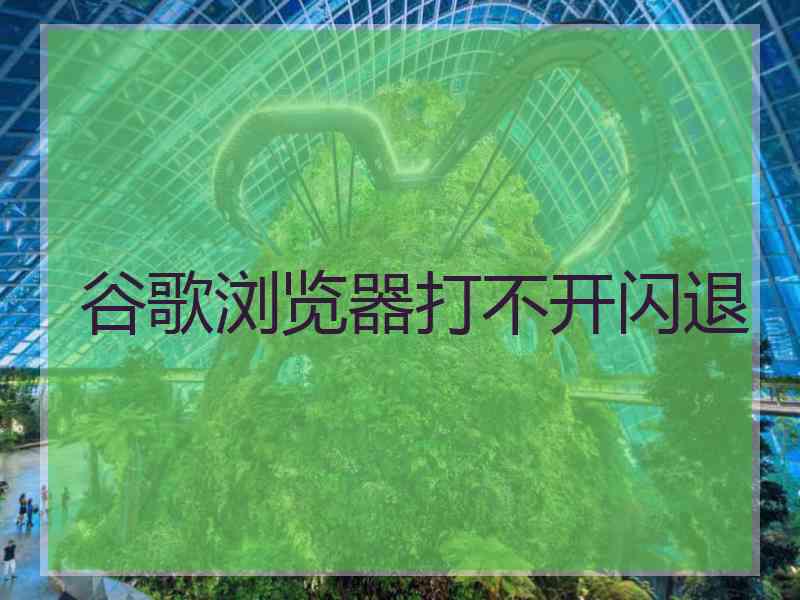 谷歌浏览器打不开闪退