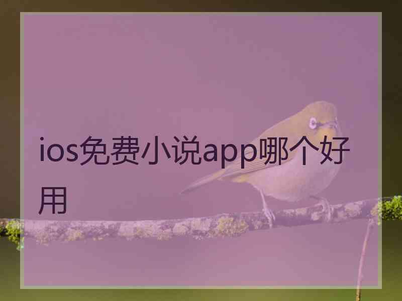 ios免费小说app哪个好用