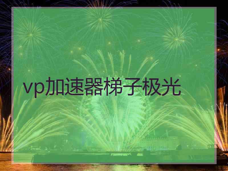 vp加速器梯子极光